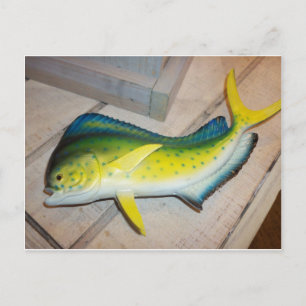 Dolfijn De Vis (Niet Het Zoogdier) Briefkaart