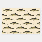 Dolfijn Delphinus Delphis,  zeezoogdieren Inpakpapier Vel (Voorkant 3)