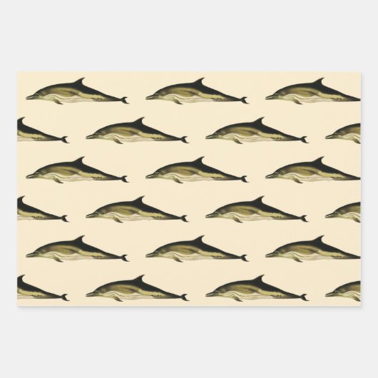 Dolfijn Delphinus Delphis,  zeezoogdieren Inpakpapier Vel (Voorkant 3)
