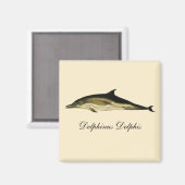 Dolfijn Delphinus Delphis,  zeezoogdieren Magneet (Voorkant / Achterkant)