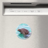 Dolfijn Design Magneet (Insitu (Vaatwasser))