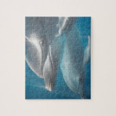 Dolfijn en Baby Puzzel (Verticaal)