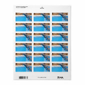 DOLFIJN ETIKET (Full Sheet)