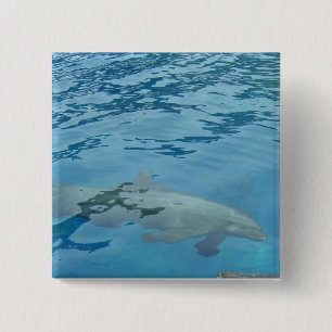 Dolfijn glijdt onder blauwe water vierkante button 5,1 cm