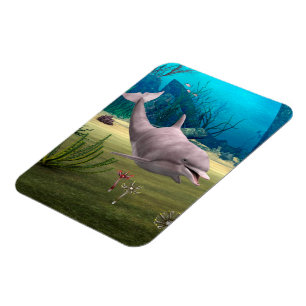 Dolfijn glimlachen magneet