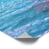 Dolfijn glimlachen poster (Hoek)