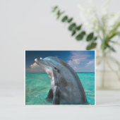 Dolfijn in de Bahama's Briefkaart (Staand voorkant)