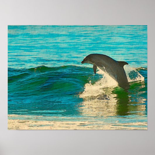 Dolfijn is mijn geestdier poster (Voorkant)