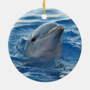 Dolfijn Keramisch Ornament