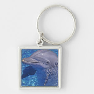 Dolfijn met flensoren, Tursiops Truncatus Sleutelhanger