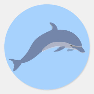 Dolfijn Ronde Sticker