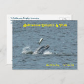 Dolfijn spelen met vis Briefkaart (Voorkant / Achterkant)