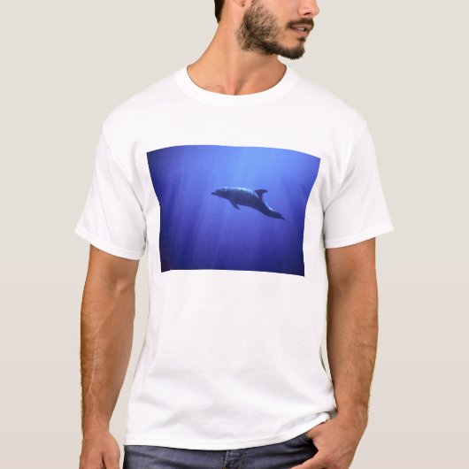 Dolfijn T-shirt (Voorkant)