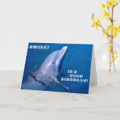 Dolfijn verjaardag glimlach kaart (Gele Bloem)
