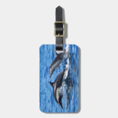 Dolfijnen afspelen bagagelabel (Voorkant verticaal)