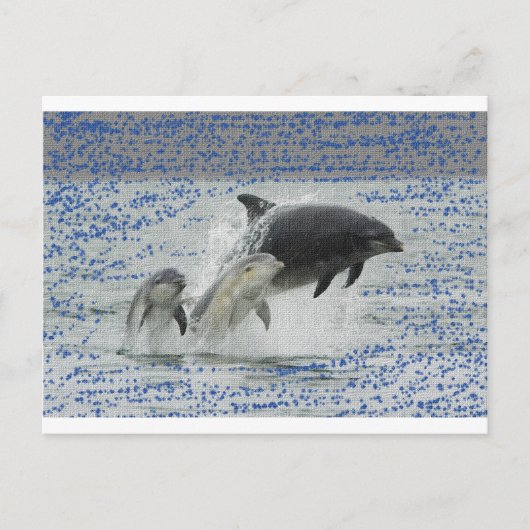 Dolfijnen Briefkaart (Voorkant)