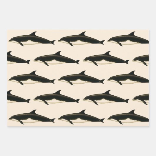 dolfijnen Delphinus Tursio, zeezoogdieren Inpakpapier Vel (Voorkant 3)
