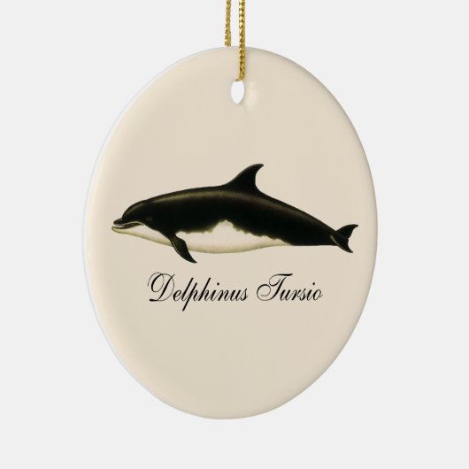 dolfijnen Delphinus Tursio, zeezoogdieren Keramisch Ornament (Rechts)