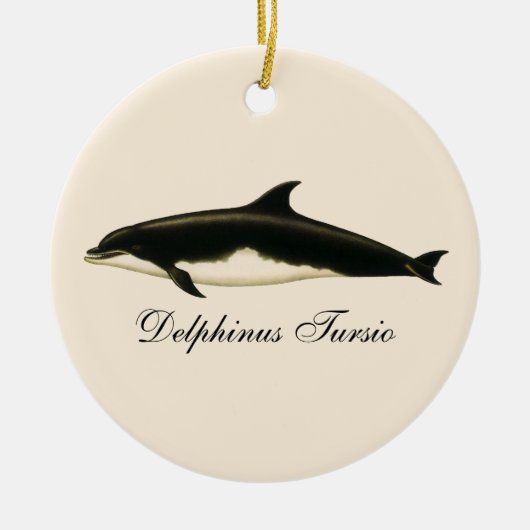 dolfijnen Delphinus Tursio, zeezoogdieren Keramisch Ornament (Voorkant)