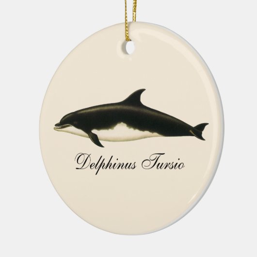 dolfijnen Delphinus Tursio, zeezoogdieren Keramisch Ornament (Links)
