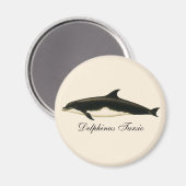 dolfijnen Delphinus Tursio, zeezoogdieren Magneet (Voorkant / Achterkant)