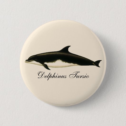 dolfijnen Delphinus Tursio, zeezoogdieren Ronde Button 5,7 Cm (Voorkant)