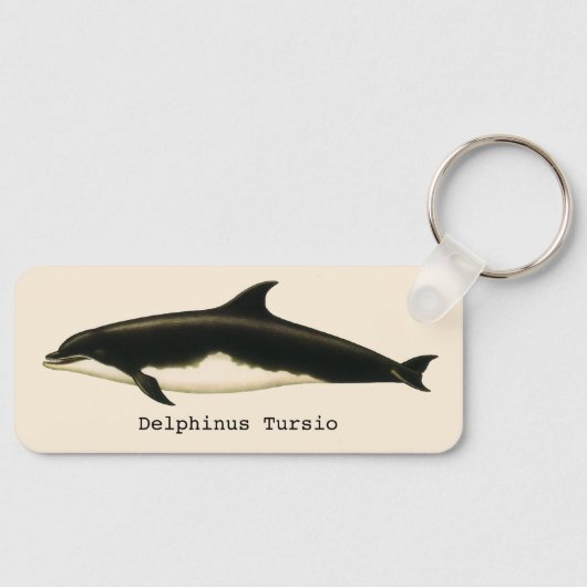  dolfijnen Delphinus Tursio, zeezoogdieren Sleutelhanger (Voorkant)