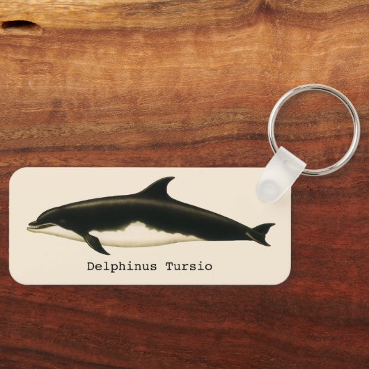  dolfijnen Delphinus Tursio, zeezoogdieren Sleutelhanger (Voorkant)