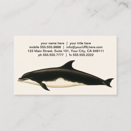 dolfijnen Delphinus Tursio, zeezoogdieren Visitekaartje (Achterkant)