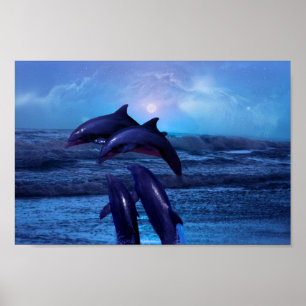 Dolfijnen die in de oceaan spelen poster