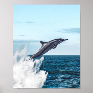 Dolfijnen die uit de oceaan ontsnappen poster