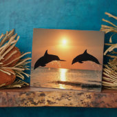 Dolfijnen door Sunset Fotoplaat (Zijkant)