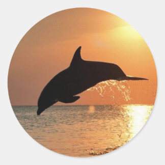 Dolfijnen door Sunset Ronde Sticker