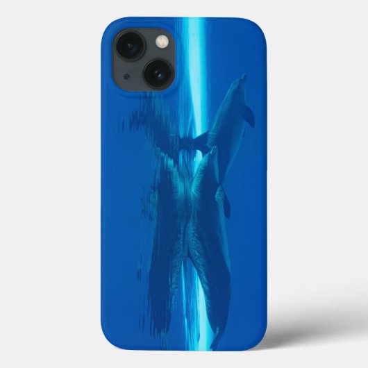 Dolfijnen en reflecties Case-Mate iPhone case (Achterkant)