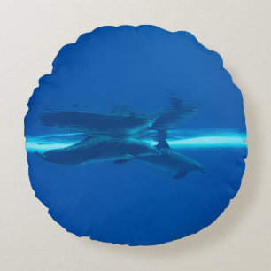 Dolfijnen en reflecties rond kussen