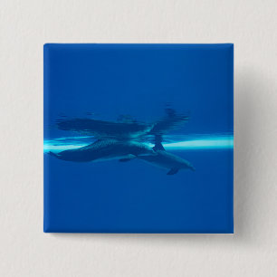 Dolfijnen en reflecties vierkante button 5,1 cm