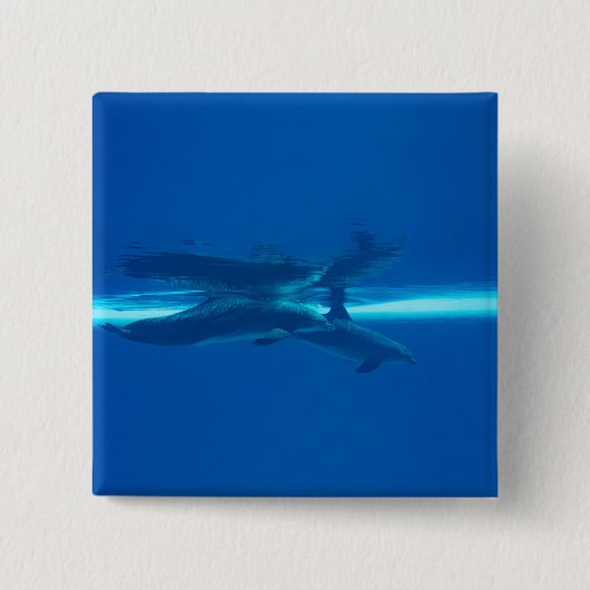 Dolfijnen en reflecties vierkante button 5,1 cm (Voorkant)
