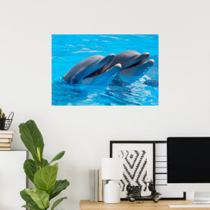 Dolfijnen glimlachen poster