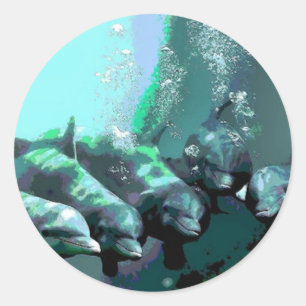 Dolfijnen glimlachen ronde sticker