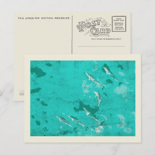 Dolfijnen in het Caribische zee Briefkaart