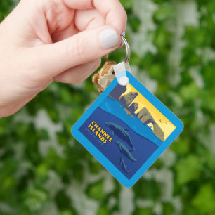 Dolfijnen in het Nationaal Park van de Kanaaleilan Sleutelhanger