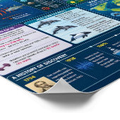 Dolfijnen Infographic Poster (Hoek)