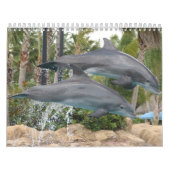 dolfijnen kalender (Hoes)