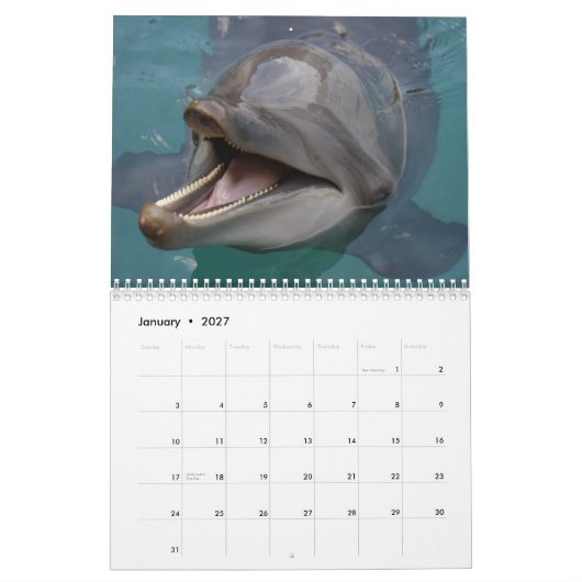 dolfijnen kalender (Jan 2027)