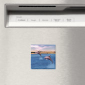 Dolfijnen Magneet (Insitu (Vaatwasser))