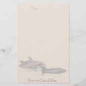 Dolfijnen met flessenoplossing en speciaal geperso briefpapier (Voorkant)