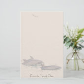 Dolfijnen met flessenoplossing en speciaal geperso briefpapier (Staand voorkant)