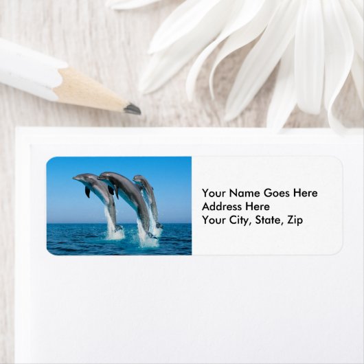 Dolfijnen omhoog etiket (Insitu)