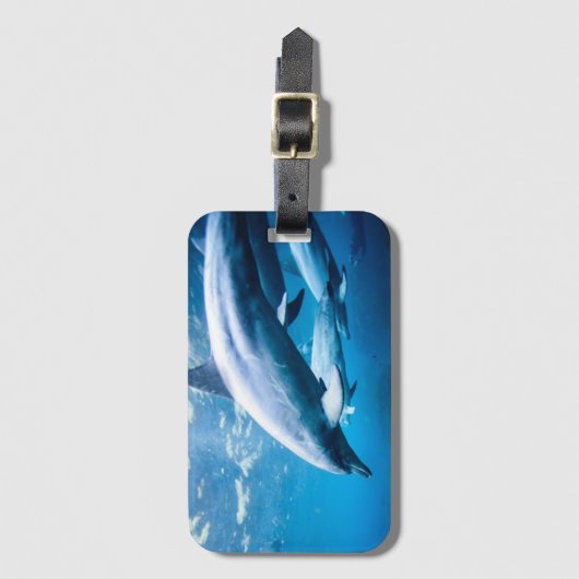 Dolfijnen Onderwater Bagagelabel (Voorkant (verticaal))