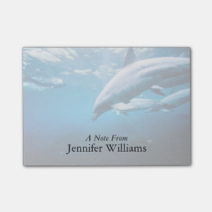 Dolfijnen Onderwater Post-it® Notes